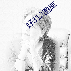 好312图库