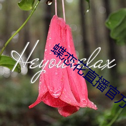 蝶恋(戀)花(花)直播官方下载(載)