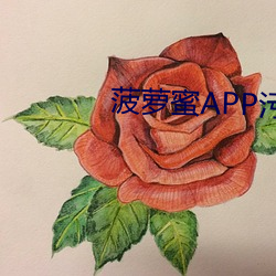 菠萝蜜APP污污