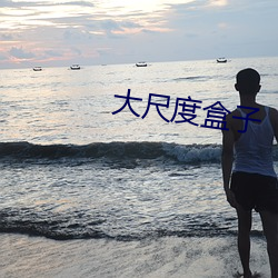 大尺度盒(盒)子