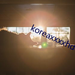 koreaxxxxhdvideo