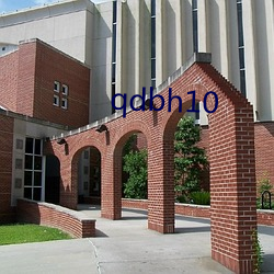 qdbh10