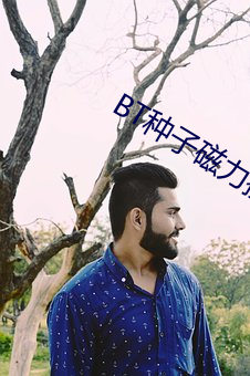 BT种子磁力搜索器 （三婆两嫂）
