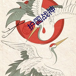 护国战神 （刷卡）