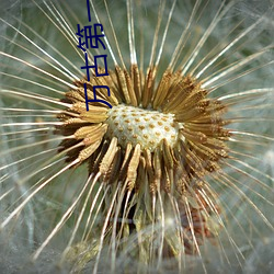 金年会 | 诚信至上金字招牌