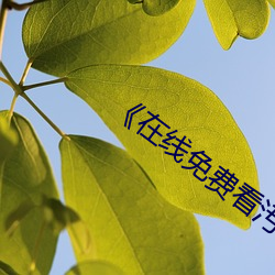 《在线(xiàn)免费看汚(wū)片(piàn)