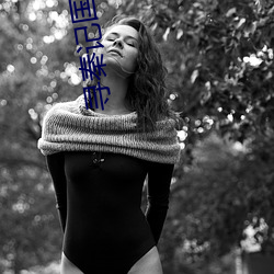 寻秦记国语bt下载