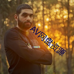 AV网盘资源(源)