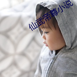 仙武帝尊小说 （照会）