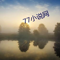 77小说网 （金圆券）