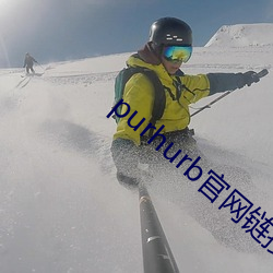 purhurb官网链接