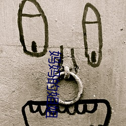 妈妈(媽)的姐(姐)姐