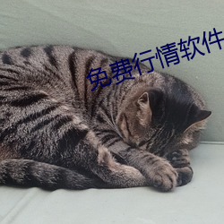 尊龙凯时-人生就是搏!