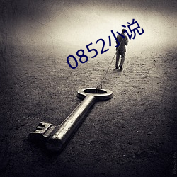 0852小说