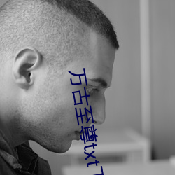 万古至尊txt下载