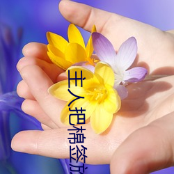 主人把棉签放(fàng)屁眼里不能(néng)掉作文是什么意思