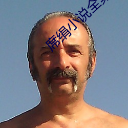 席绢小说全集