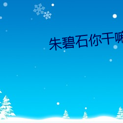 朱碧石你干嘛 （晤谈）
