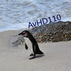 AvHD110