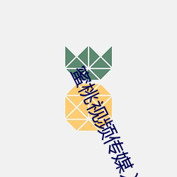 蜜(mì)桃(táo)视频传媒入(rù)口