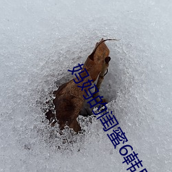 妈妈的(的)闺蜜6韩(韓)剧