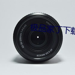 极品家丁(丁)下载