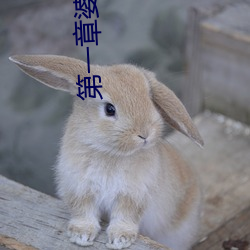 第(dì)一章婆(pó)媳同(tóng)乐慧珍