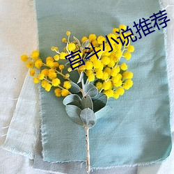 金年会 | 诚信至上金字招牌