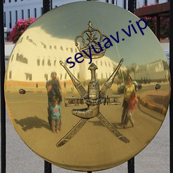 seyuav.vip