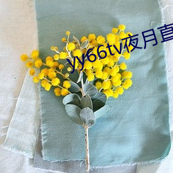 yy66tv夜月直播最新版本 （池鱼幕燕）