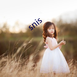 snis （华侨）