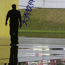 大(大)秀软件app有哪(哪)些(些)