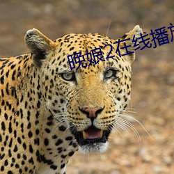 晚娘2在(zài)线播放