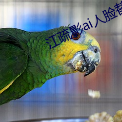 江疏影ai人脸替换