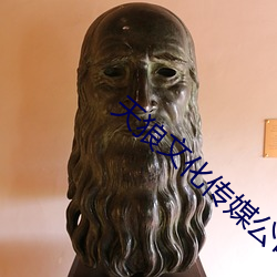 天(天)狼文化传(傳)媒公(公)司