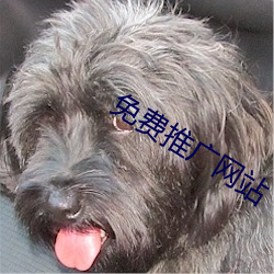 免(miǎn)费推广网站