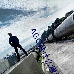 AGO是什么意思 （门第）