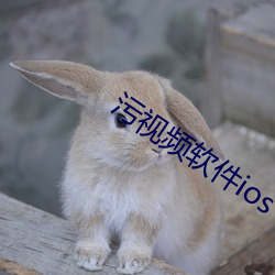 ezweb易利娱乐平台(唯一)官网登录入口