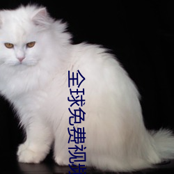 金年会 | 诚信至上金字招牌