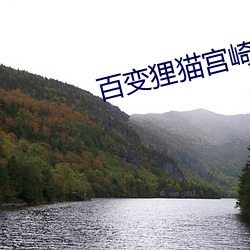 百变狸猫宫崎骏电影介绍 （头角峥嵘）