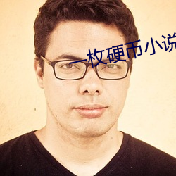 一枚硬币小说 （鲜艳夺目）