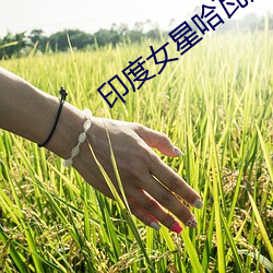 印度女星(xīng)哈瓦那