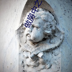 做房(fáng)中(zhōng)之事的(de)步骤