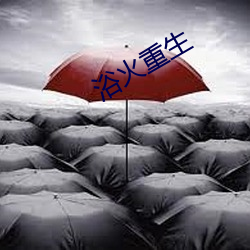 浴火重生