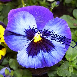 ios安装第三方软件