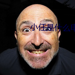 小任是什么电视剧