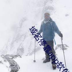 域名停靠app软件盘他射门大全v4.2