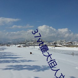 37vt最大但人(人)文艺(藝)术