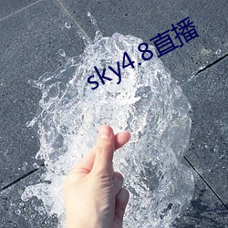 sky4.8直播