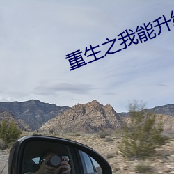 重生之我能升级(jí)